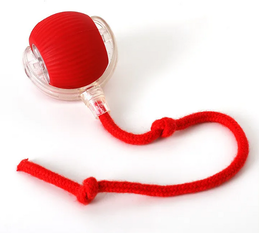 purrplay-self-rolling-cat-toy-ball