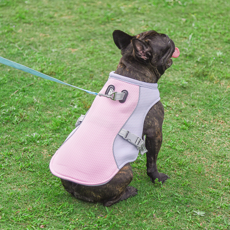 cooling-vest-for-pets