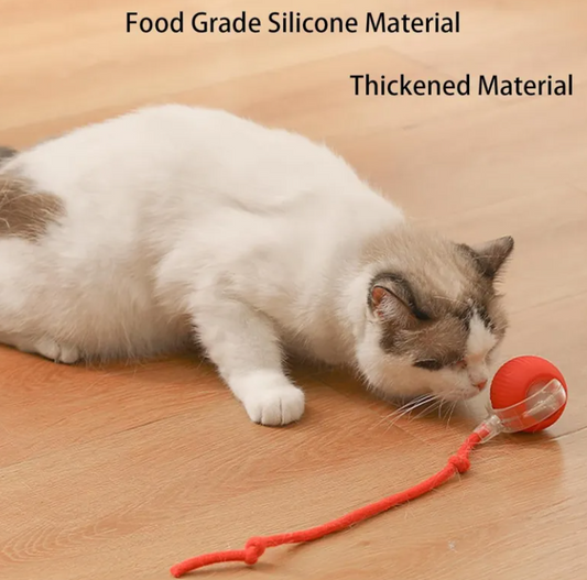 pets-ball-toy