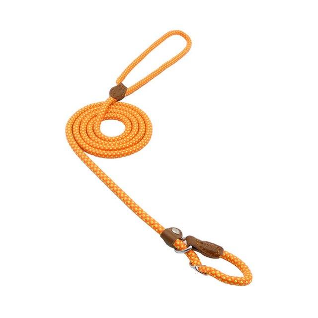 nylon-pup-set