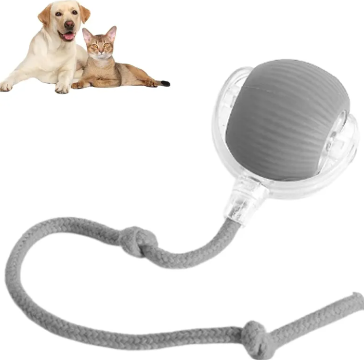 pets-ball-toy