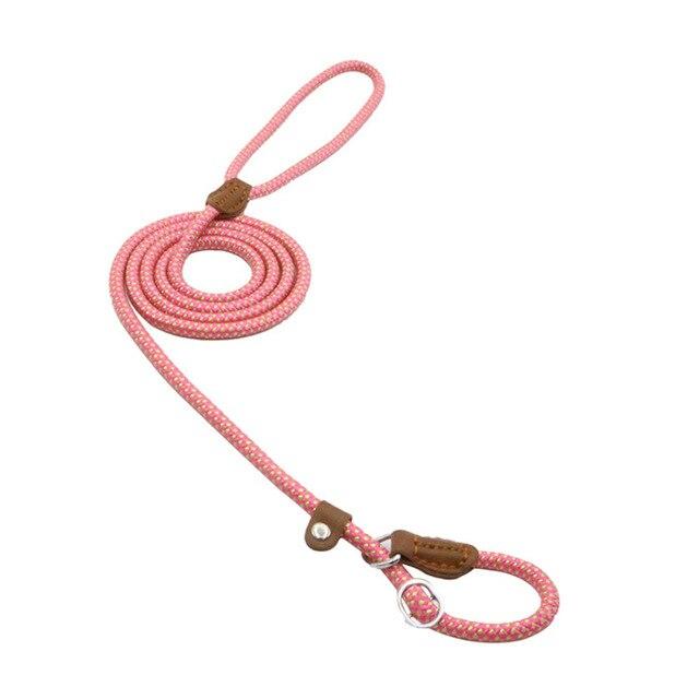 nylon-pup-set