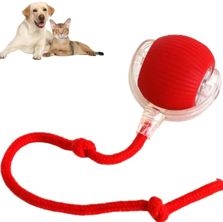 pets-ball-toy