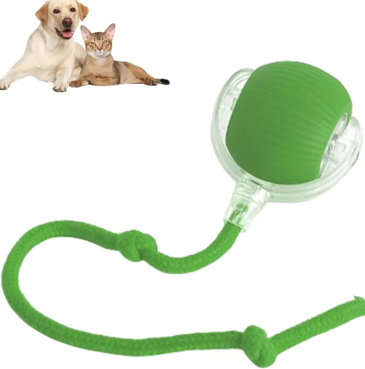 pets-ball-toy