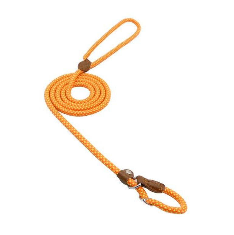 nylon-pup-set