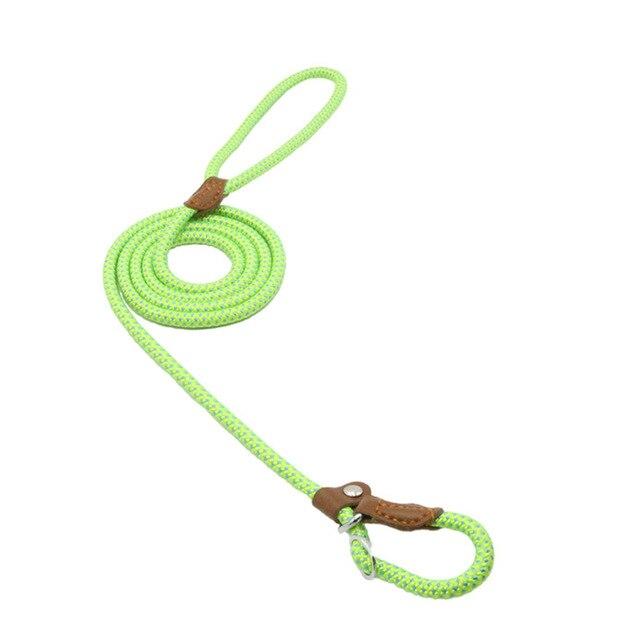 nylon-pup-set