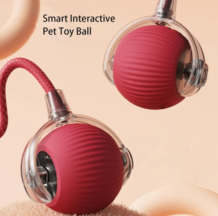 pets-ball-toy