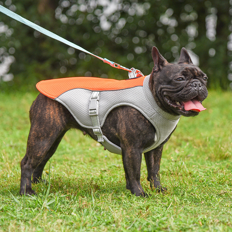 cooling-vest-for-pets