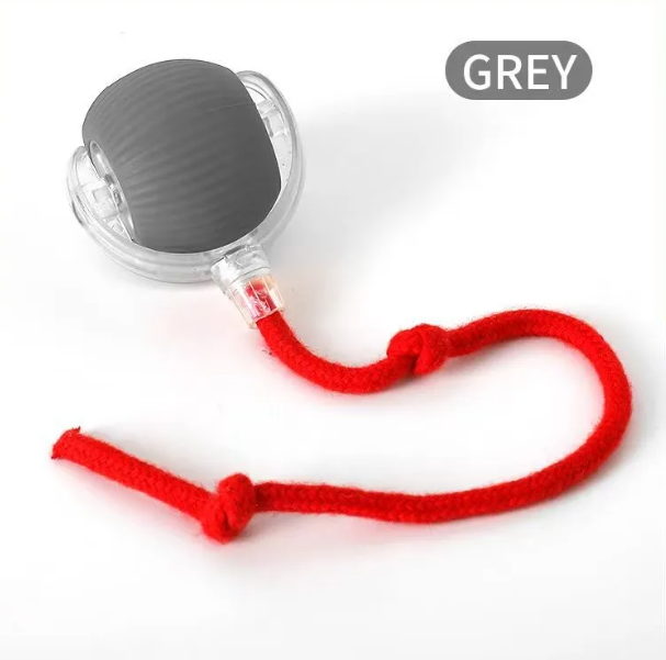 purrplay-self-rolling-cat-toy-ball