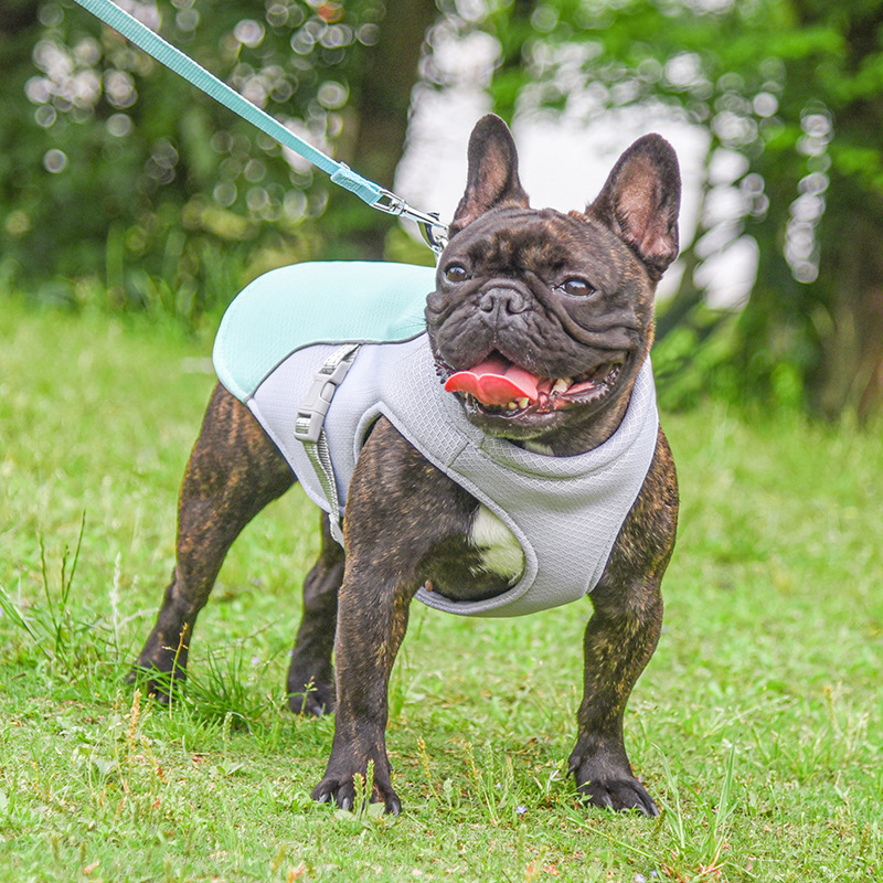 cooling-vest-for-pets
