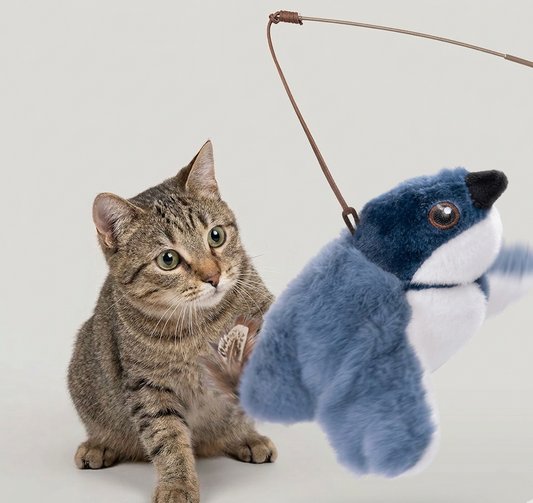 flapping-bird-cat-toy